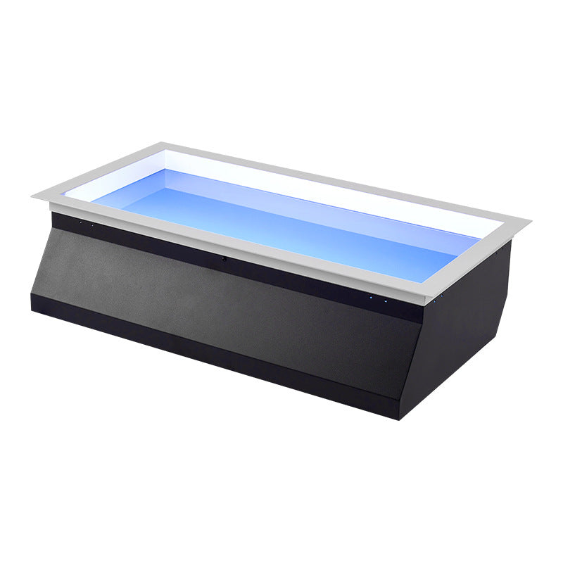 Daglichtlamp Plafond LED Ingebouwd Metaal 60x30cm Woonkamer Slaapkamer Hemelraam Daglicht Simulatie Smart Tuya Dimbaar | Sansoti