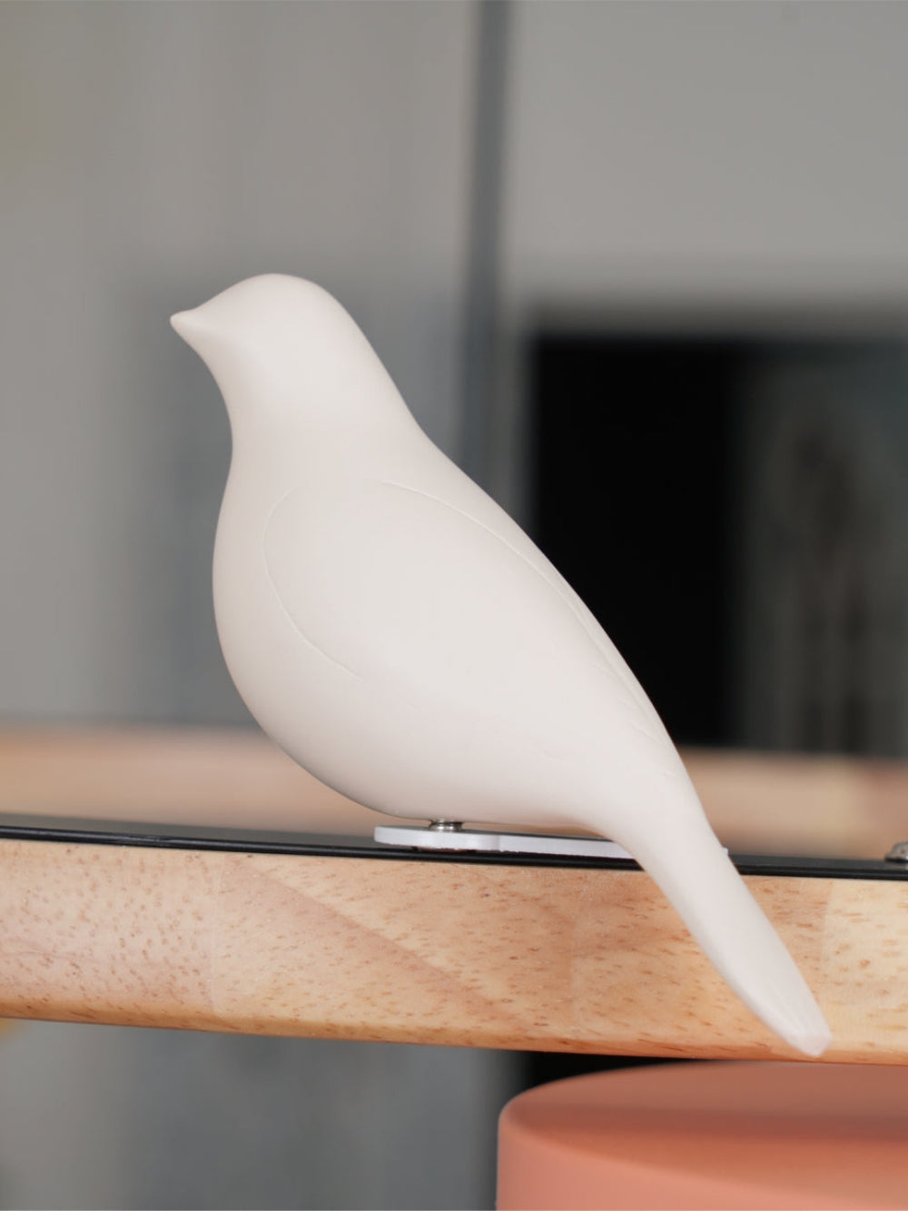 Decoratieve Vogelkroonluchter met Gekleurde Cirkels voor Eetkamer en Woonkamer | Sansoti