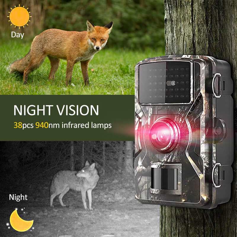 Caméra animalière 1080p Vision nocturne Étanche IP66 12MP Capteur de mouvement Photographie de la nature Observation de la faune | Sansoti