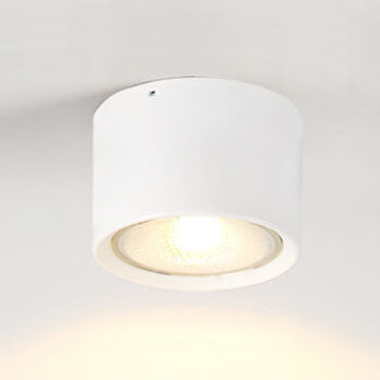Cylindrical Ceiling Light Nordic Style Aluminum Spotlight Living Room Bedroom Hallway 3000K 6000K | Sansoti