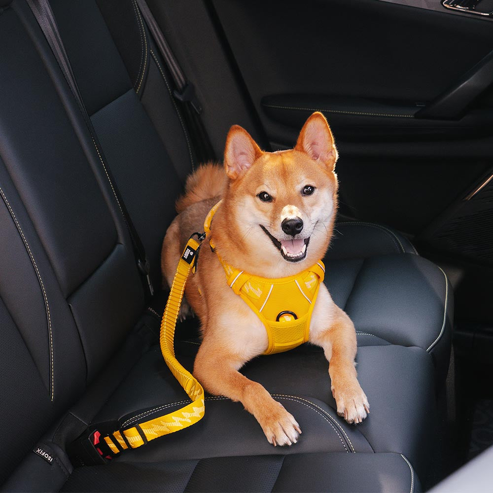 Autogordel Buffer Verstelbaar Hondenhalsband Tuigje Veiligheid Auto Reizen Reflecterend Huisdier Hond | Sansoti