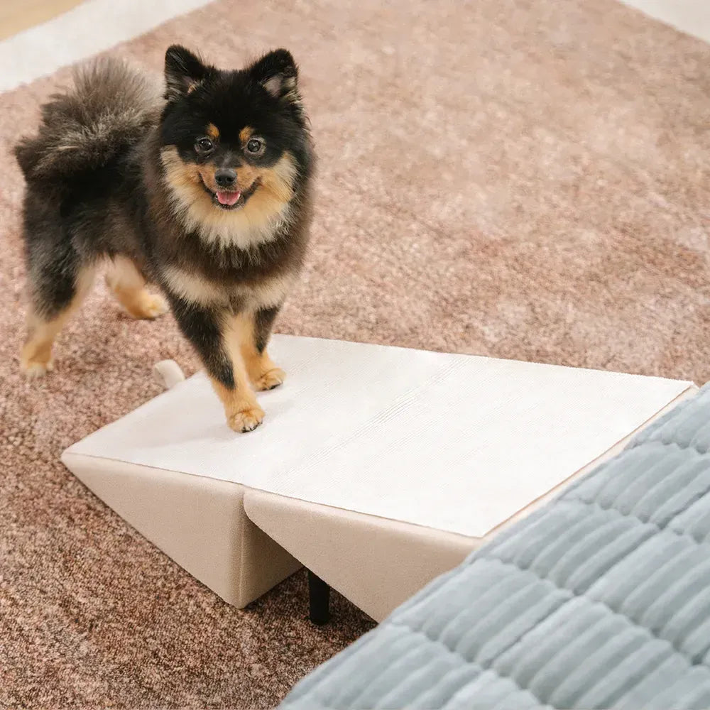 Opvouwbare Hondentrap & Kruk met Antislip Treden – Veilige Klimhulp voor Kleine Huisdieren & Puppy's | Sansoti