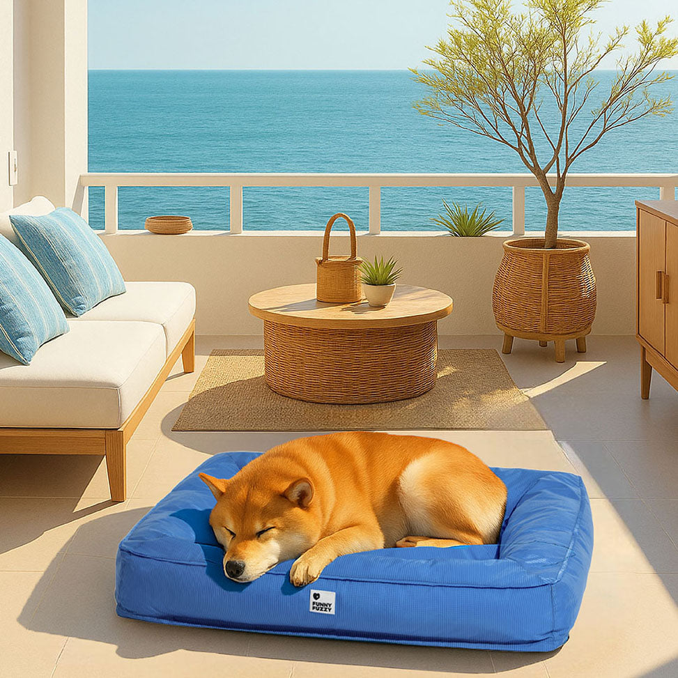 Orthopedisch Hondenkussen Volledig Ondersteunend Waterafstotend Bed Groot Steungevend Comfortabel Voor Honden | Sansoti