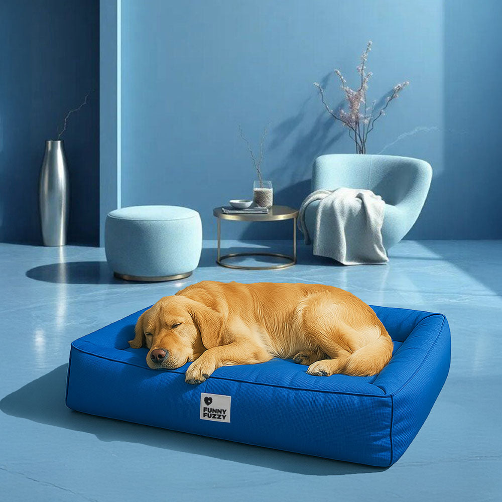 Orthopedisch Hondenkussen Volledig Ondersteunend Waterafstotend Bed Groot Steungevend Comfortabel Voor Honden | Sansoti