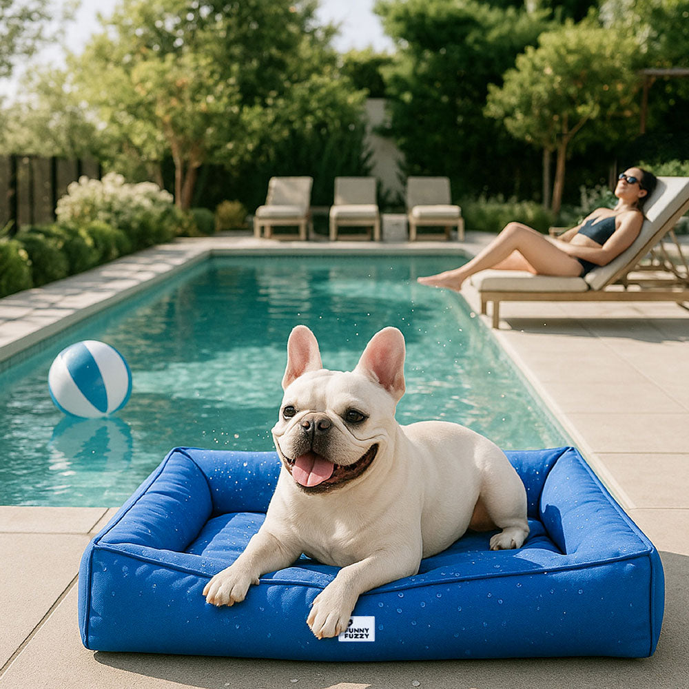 Orthopedisch Hondenkussen Volledig Ondersteunend Waterafstotend Bed Groot Steungevend Comfortabel Voor Honden | Sansoti