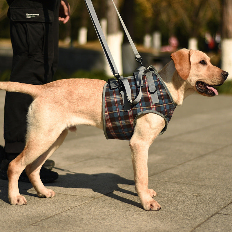 Orthopedisch Hondenharnas voor Voor- en Achterpoten - Draagbare Loophulp met Verstelbare Riemen voor Honden met Gewrichtsproblemen | Sansoti