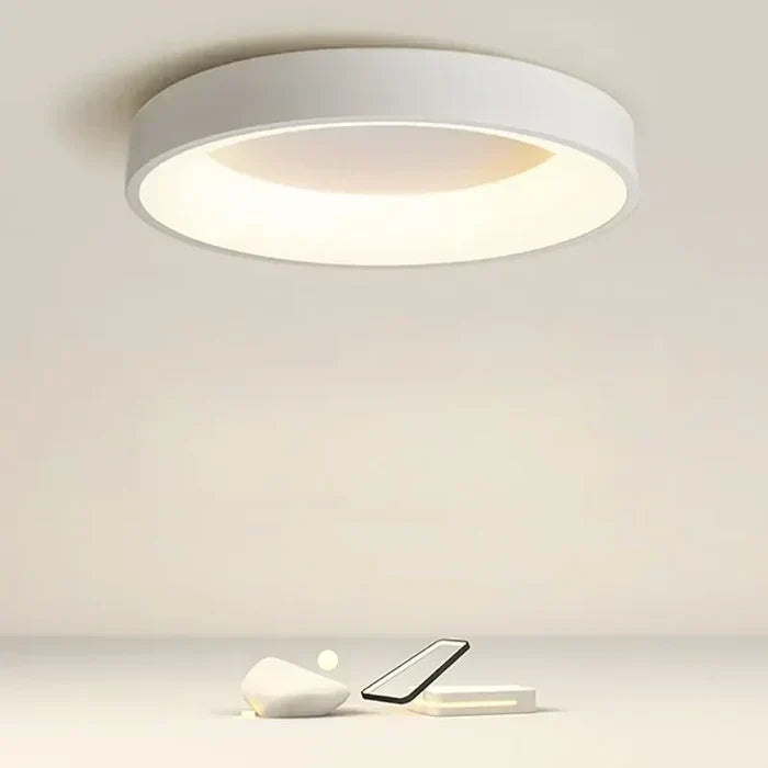 Ronde LED Plafondlamp Scandinavisch Design Wit Grijs Woonkamer Slaapkamer Gang Energiezuinig 30-60cm | Sansoti