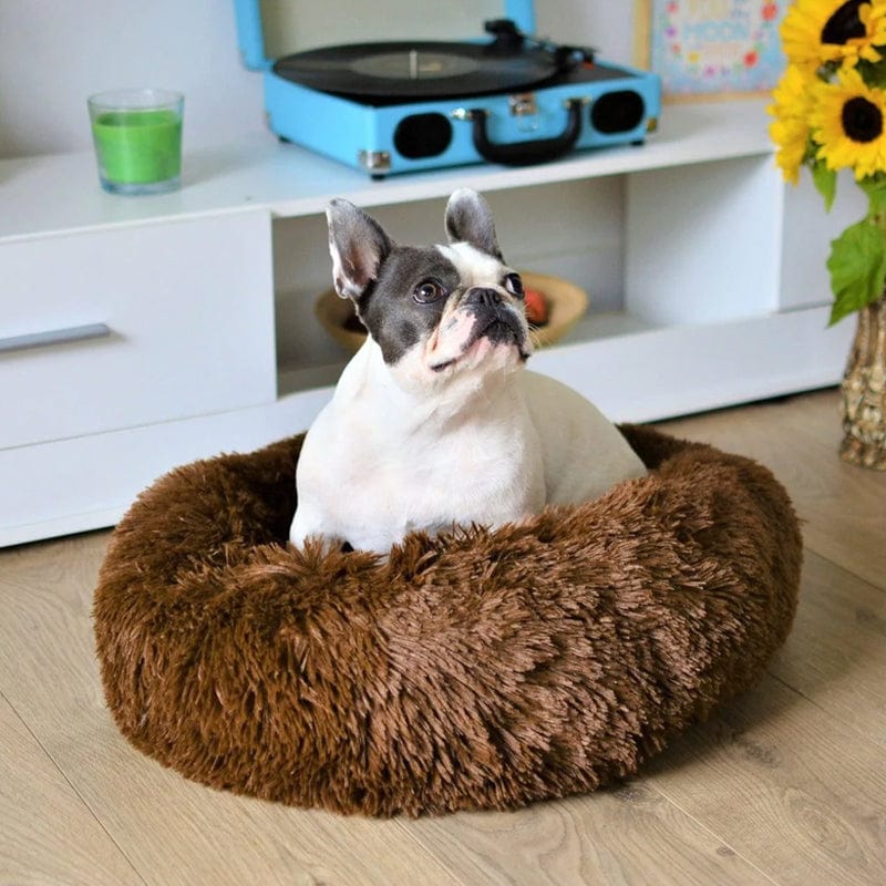 Panier rond pour animal de compagnie à bord surélevé, couchage moelleux pour chien ou chat, nid douillet avec coussin chaud | Sansoti