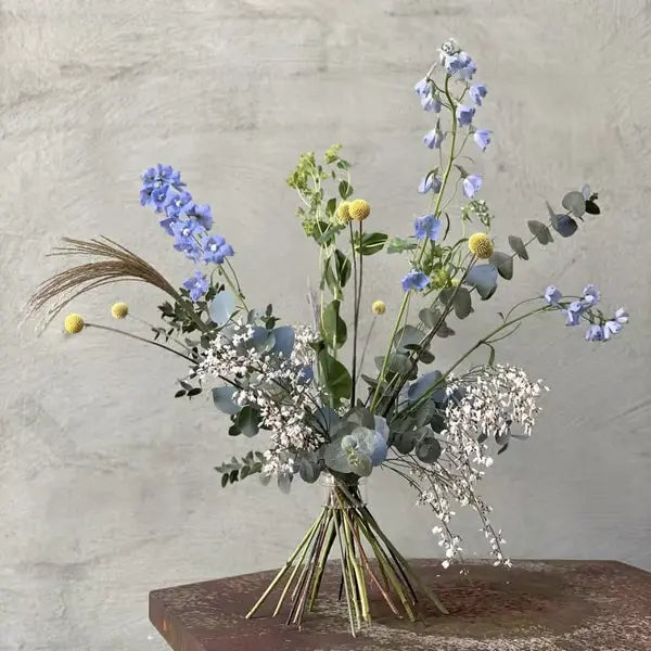 Bloemen Steekschuim Houder – Regelbare Stengel-organisator voor Symmetrische Bloemschikkingen | Sansoti