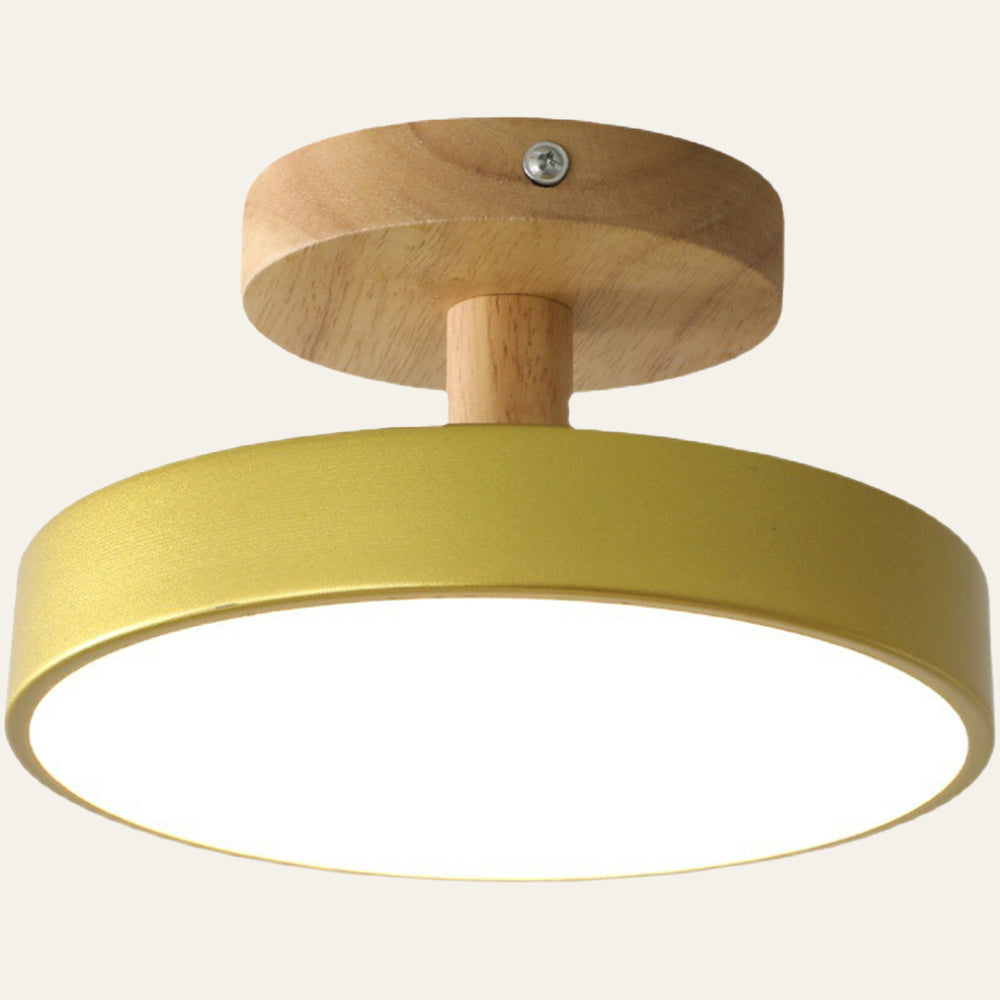 Pedol plafondlamp LED 12W hout groen plafondlamp slaapkamer hal Scandinavisch design moderne verlichting kleine ruimtes | Sansoti