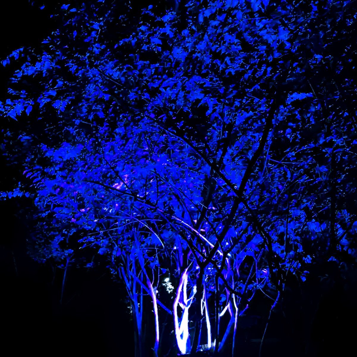 LED Garden Spotlight Waterproof RGB Color-Changing 36W-150W IP65 Outdoor Lighting Tree Garden Patio Lawn Accent | Sansoti
