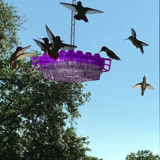 Hängende Kolibri-Futterstation 350 ml mit Ameisenschutz, 30 Futteröffnungen und diamantförmigen Öffnungen für die Gartendekoration | Sansoti