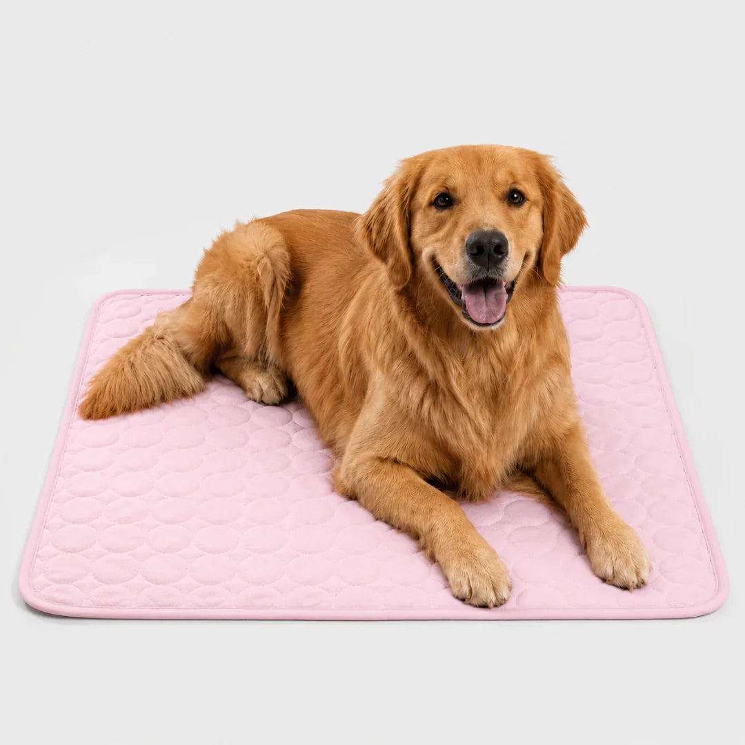Washable Cooling Mat for Dogs and Cats 6 Sizes Breathable Cooling Cushion Pet Travel Mat Summer Cooling | Sansoti