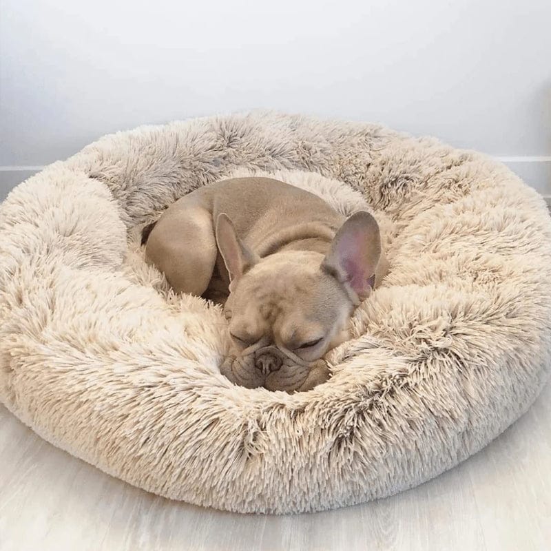 Panier rond pour animal de compagnie à bord surélevé, couchage moelleux pour chien ou chat, nid douillet avec coussin chaud | Sansoti