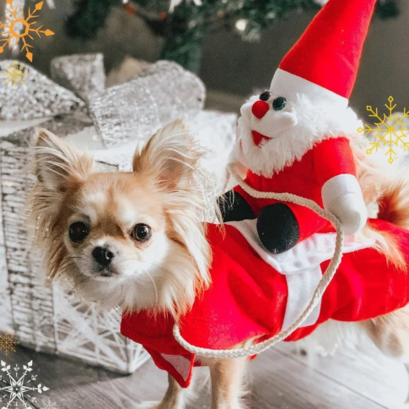 Santa costume for dogs with Santa Claus figure, dog clothing, festive outfit, pet Christmas party | Sansoti