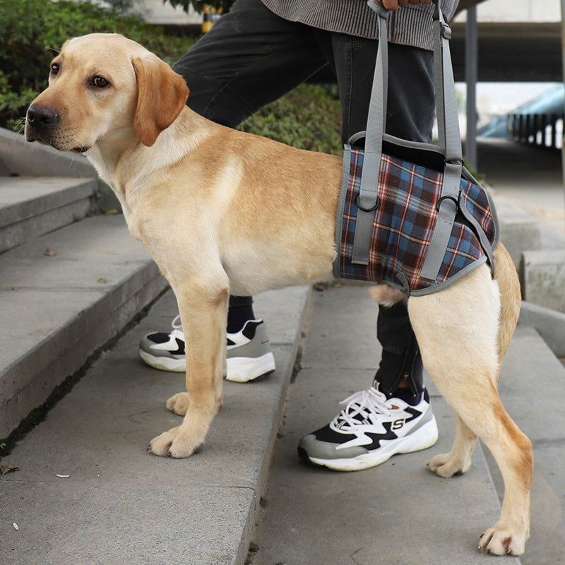 Orthopedisch Hondenharnas voor Voor- en Achterpoten - Draagbare Loophulp met Verstelbare Riemen voor Honden met Gewrichtsproblemen | Sansoti