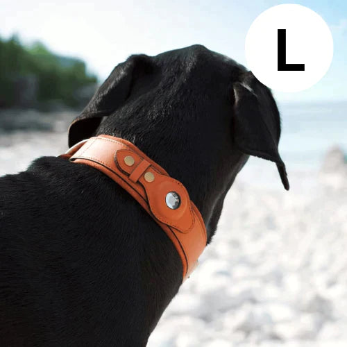 GPS-hondenhalsband met wereldwijde tracking zonder abonnement voor veilige wandelingen en volledige controle over je hond | Sansoti