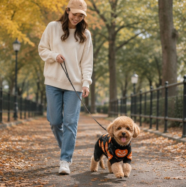 Pumpkin Pattern Knitted Pet Sweater for Dog and Cat, Halloween Winter Warm Festive Comfortable Costume | Sansoti