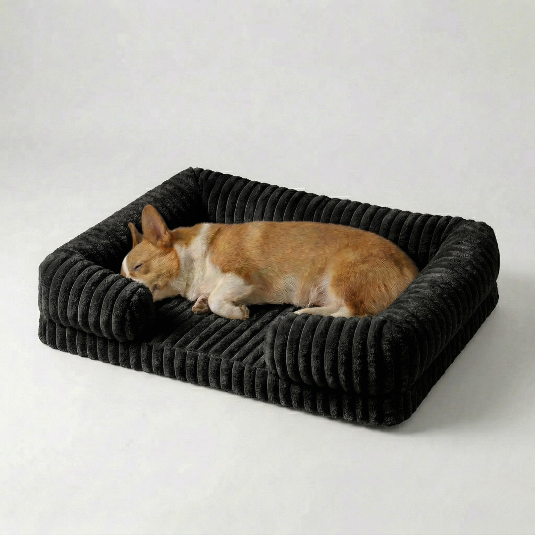 Hundebett mit erhöhtem Rand Sofa-Stil Memory Foam Orthopädisch Waschbar Komfort für kleine mittelgroße Hunde | Sansoti