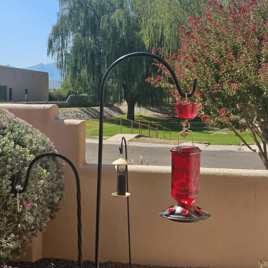 Glas-Kolibri-Futterstation 700ml mit sechs Blumen-Sitzplätzen, Ameisensperre und Aufhängehaken für Gartenvögel | Sansoti