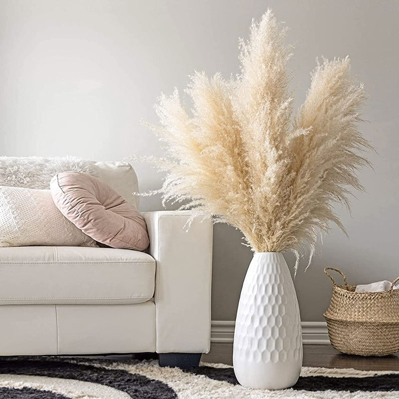 Gedroogde Pampas Pluimen 10 Stuks Natuurlijk Gras Decoratieve Droogbloemen voor Woonkamer Slaapkamer | Sansoti