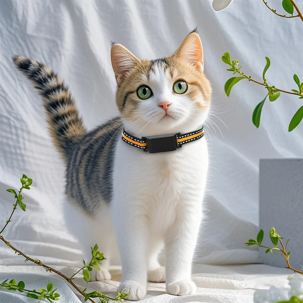 GPS-Tracker für Katzen mit Echtzeit-Ortung, Geofence-Alarm und Aktivitätsüberwachung für Haustiere | Sansoti