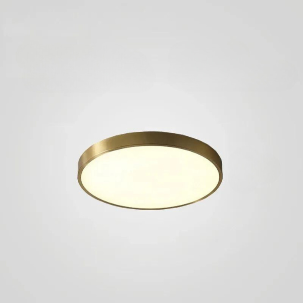 Ronde Plafondlamp Multicolor LED Ultradun 23-60cm Dimbaar Afstandsbediening Woonkamer Slaapkamer Studeerkamer | Sansoti