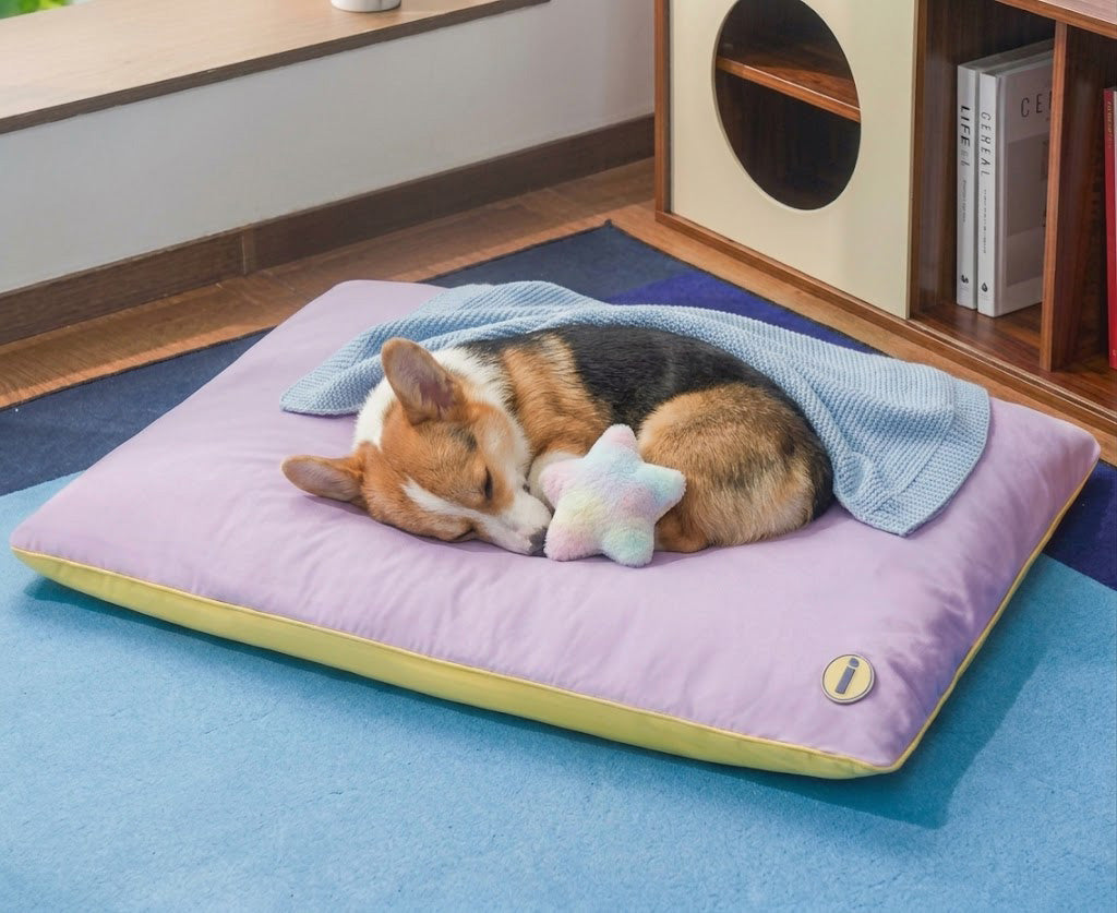 Kühlendes, beidseitig verwendbares Hundebett mit Gel, 50-95 cm, wasserabweisende und bissfeste Sommer-Haustiermatratze | Sansoti