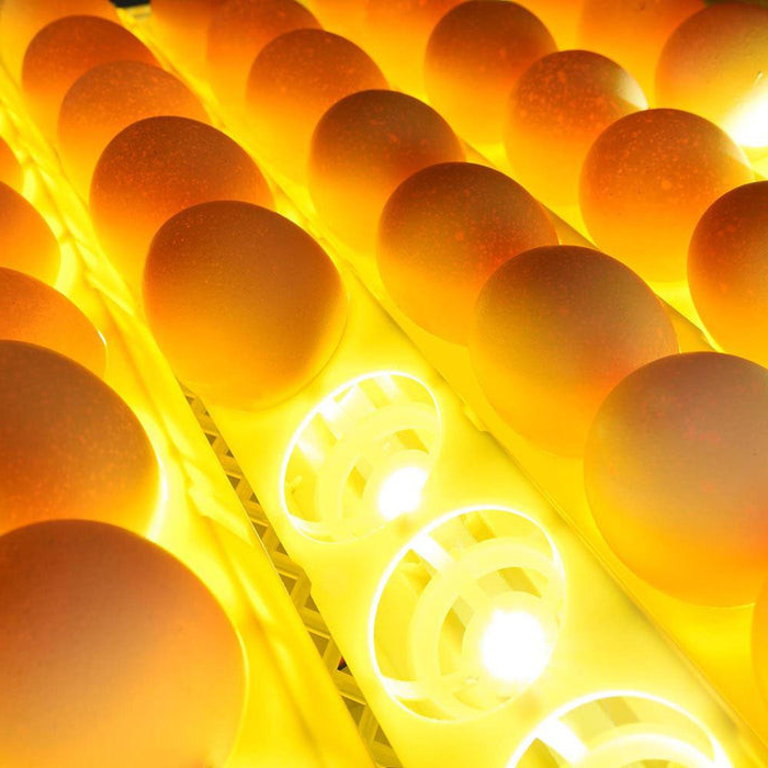 Brutmaschine für 56 Eier mit digitaler Temperaturregelung, automatischer Wendefunktion und LED-Display für die Heimzucht | Sansoti