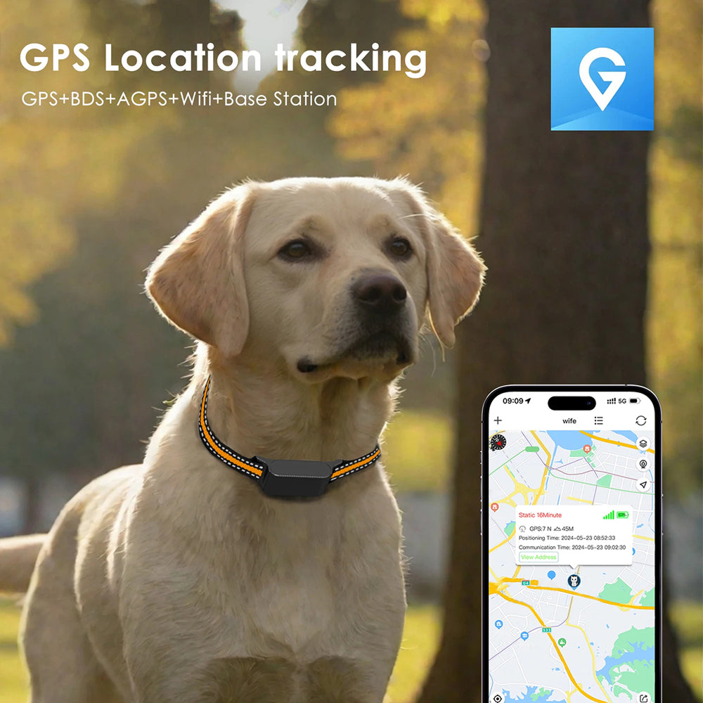 GPS-Tracker für Katzen mit Echtzeit-Ortung, Geofence-Alarm und Aktivitätsüberwachung für Haustiere | Sansoti
