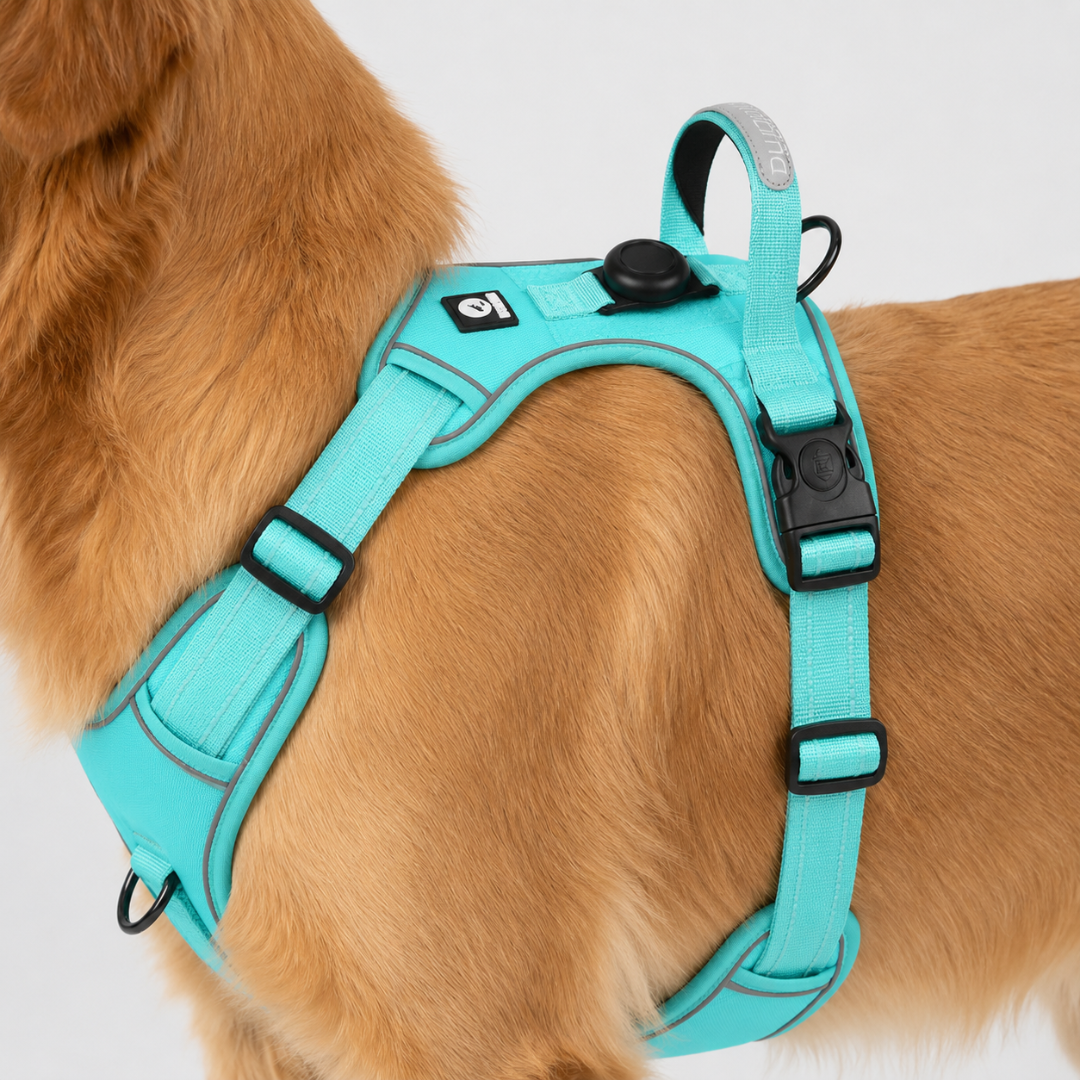Adjustable No-Pull Dog Harness Chest Harness Reflective Comfortable Safe Walking Dog XS to XL | Sansoti