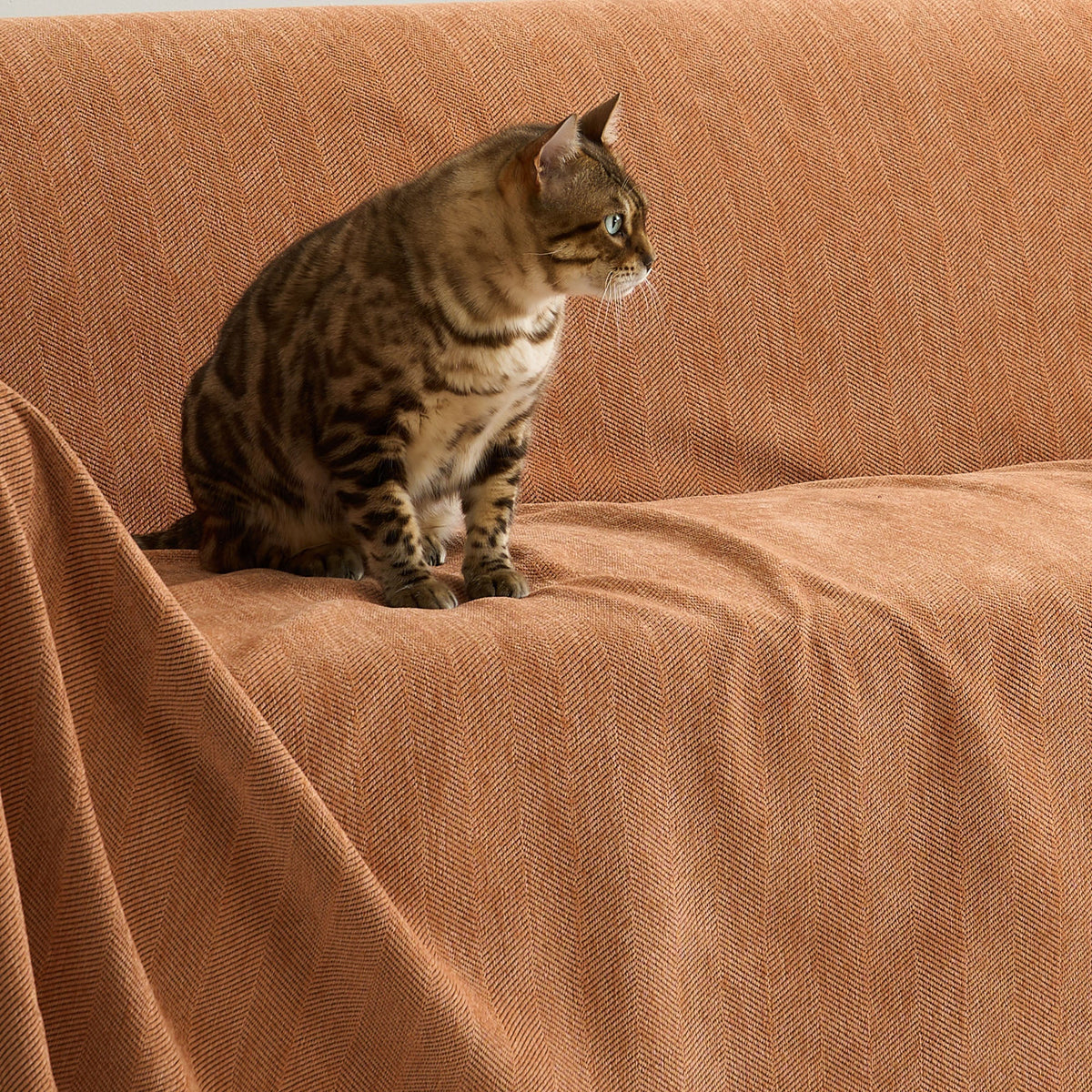 Fischgrätstruktur Sofabezug Haustierfreundlich Wasserabweisender Möbelschutz Textilgewebe Sofa Cover | Sansoti