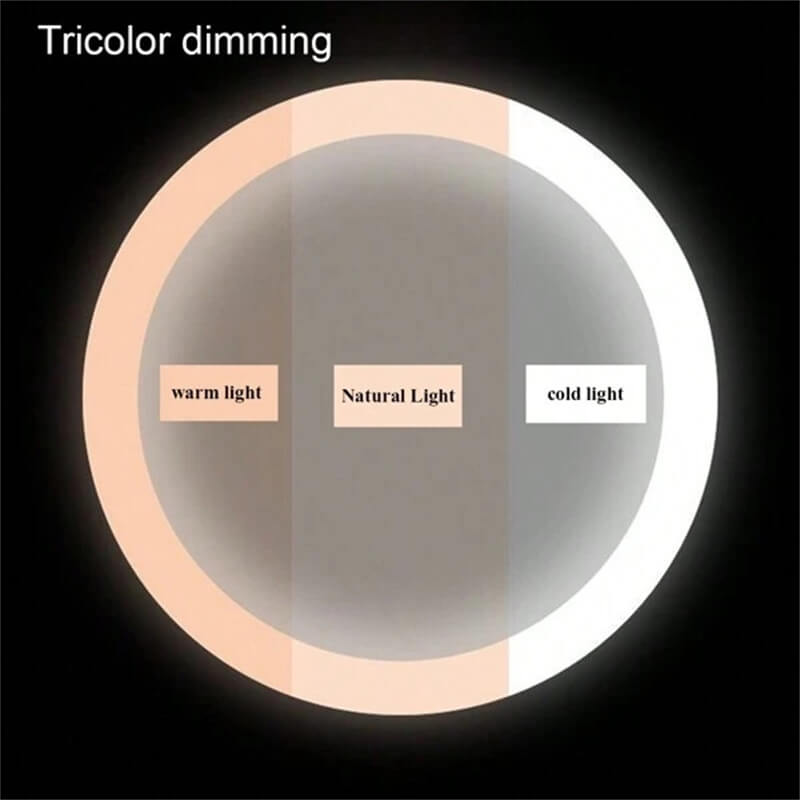 Miroir maquillage éclairage LED rechargeable 40cm pivotant 360° dimmable 3 modes lumière