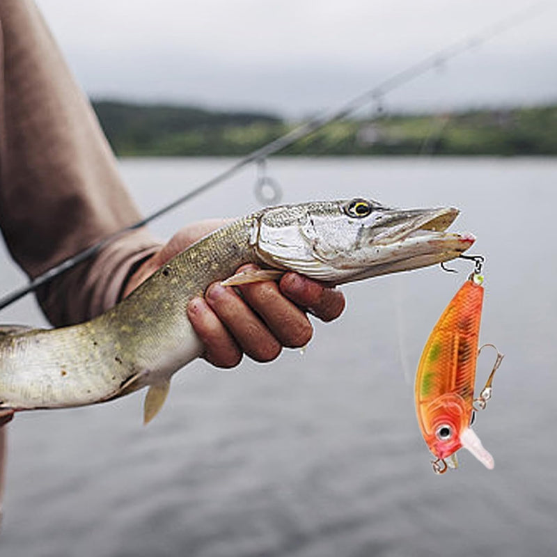 Adventskalender für Angler mit 24 Überraschungen, Angelruten-Zubehör, Kunstködern, Haken und Angelzubehör, Weihnachtsgeschenk | Sansoti