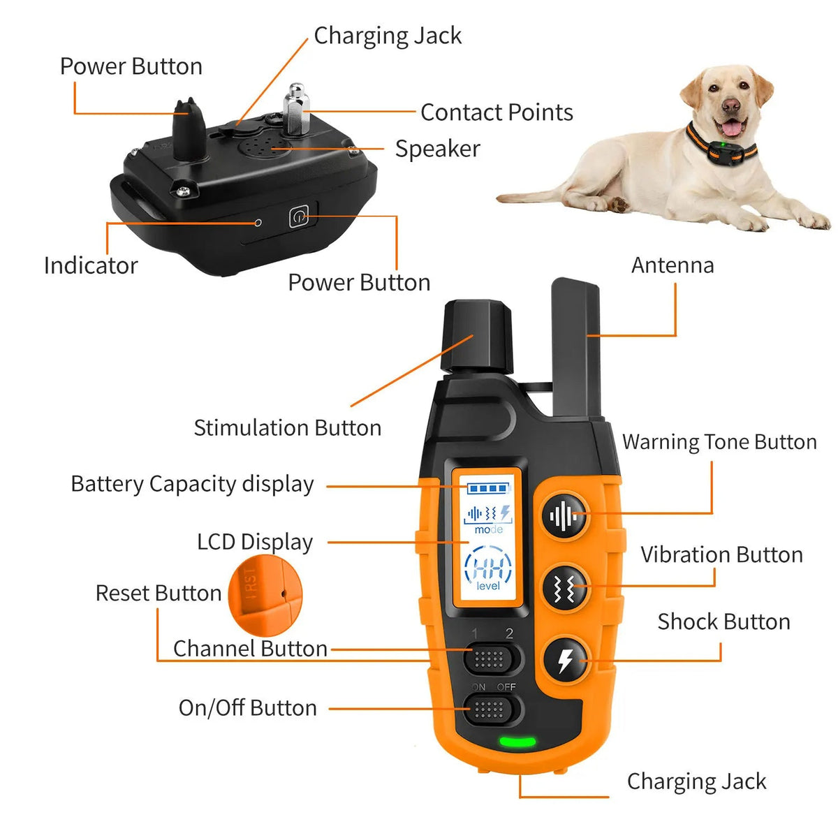 Collier de dressage électronique pour chiens avec télécommande, portée de 1000m, étanche, 3 modes de dressage | Sansoti