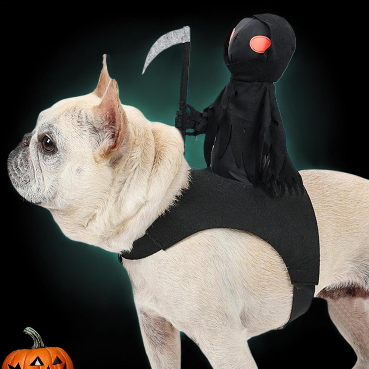 Skeleton Dog Costume Black - Funny Party Outfit for Medium and Large Dogs Halloween Costume | Sansoti