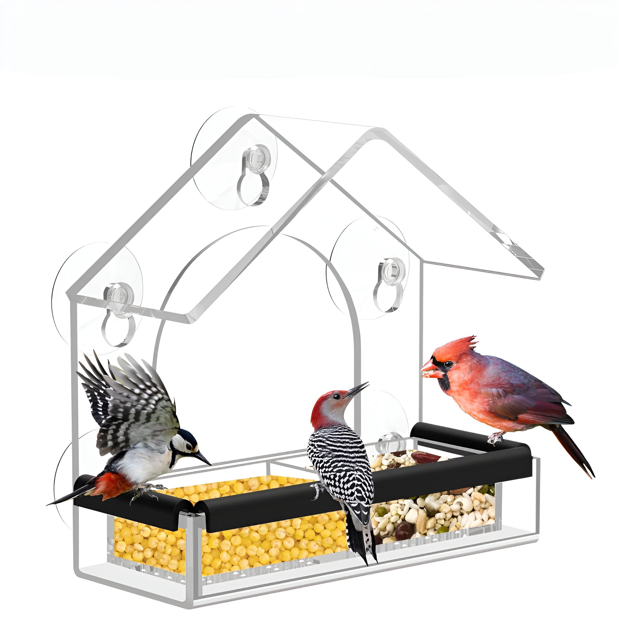 Vogelvoederhuisje voor Raam Transparant Acryl met Zuignappen | Sansoti