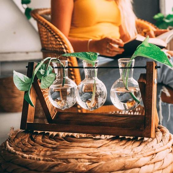Plantenpropagator Standaard Hout & Glas Stekhouder Vintage Stijl voor Kamerplanten | Sansoti