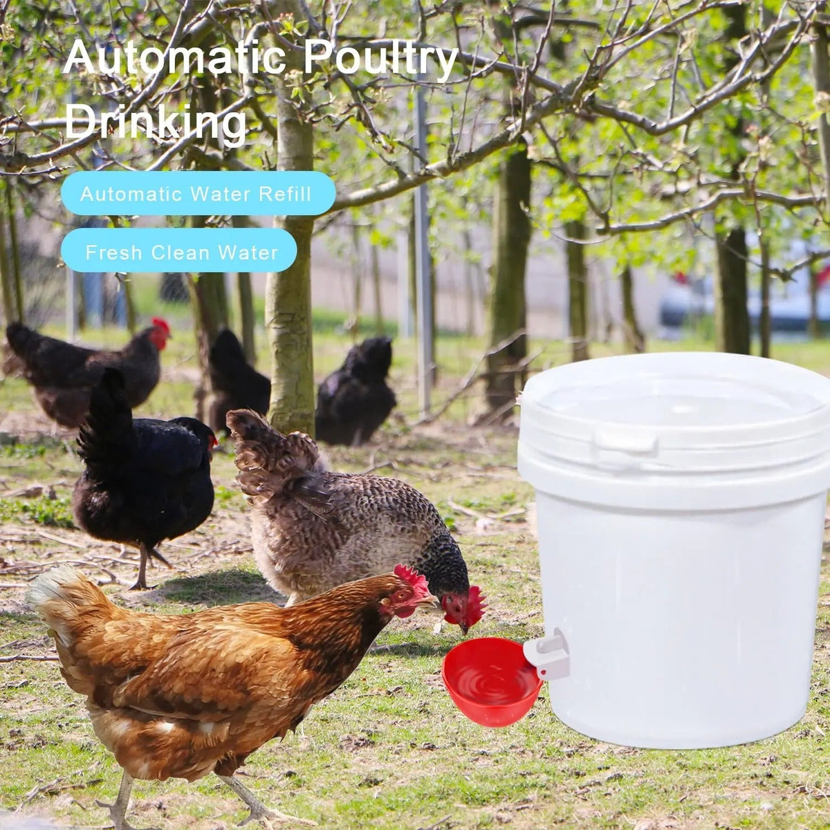 Automatische Drinkbakjes Pluimvee 10 Stuks Rood Zelfvullend Lekvrij voor Vogels Kippen Eenden Kwartels Ganzen | Sansoti