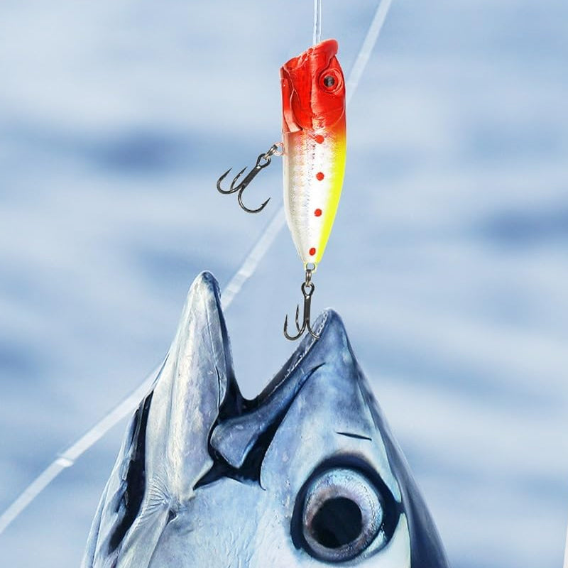 Adventskalender für Angler mit 24 Überraschungen, Angelruten-Zubehör, Kunstködern, Haken und Angelzubehör, Weihnachtsgeschenk | Sansoti