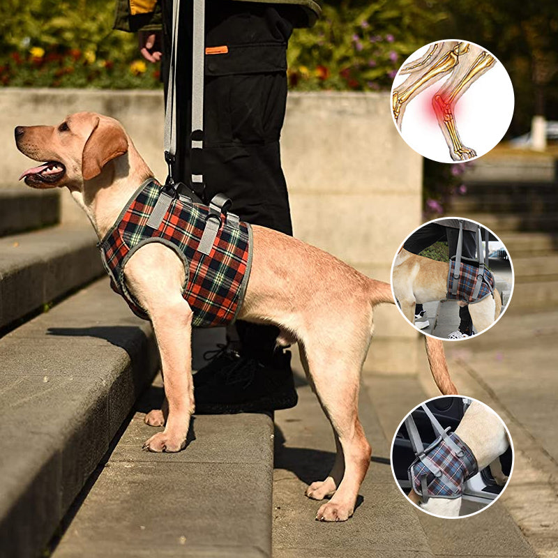 Orthopedisch Hondenharnas voor Voor- en Achterpoten - Draagbare Loophulp met Verstelbare Riemen voor Honden met Gewrichtsproblemen | Sansoti