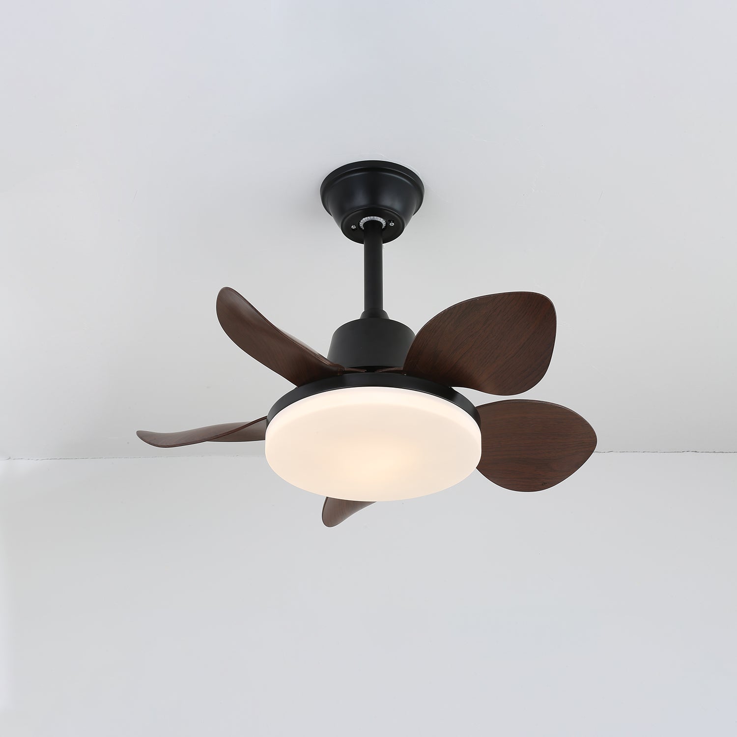 Ventilateur de plafond moderne Veyra avec lampe et 6 vitesses – diamètre 71 cm – télécommande | Sansoti