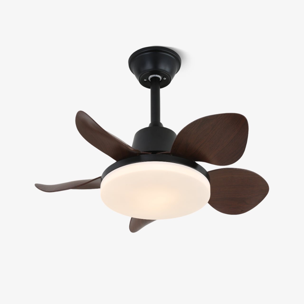 Ventilateur de plafond moderne Veyra avec lampe et 6 vitesses – diamètre 71 cm – télécommande | Sansoti