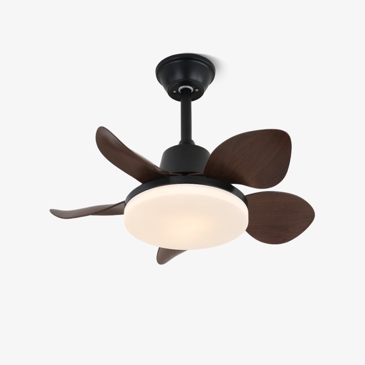 Ventilateur de plafond moderne Veyra avec lampe et 6 vitesses – diamètre 71 cm – télécommande | Sansoti