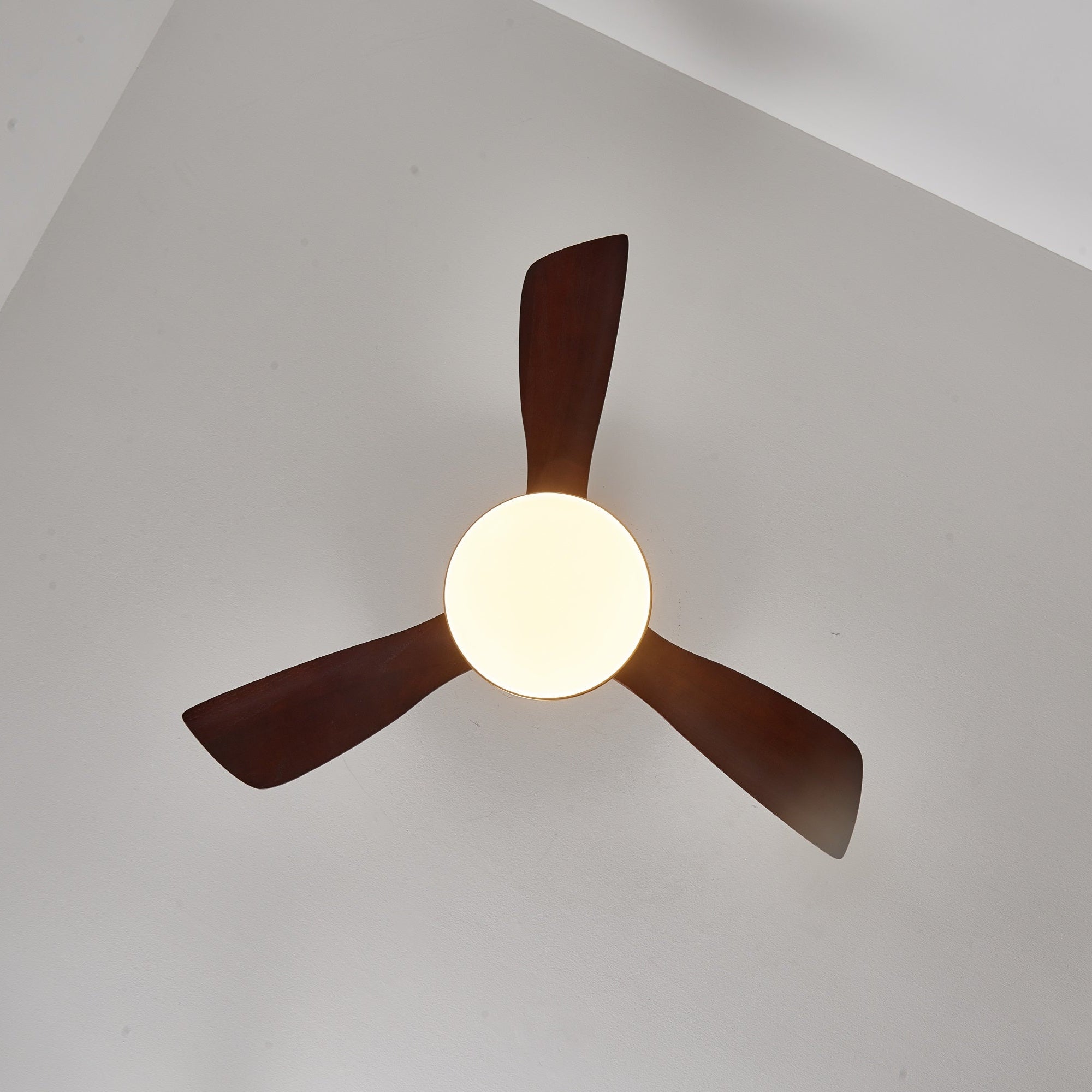 Moderne Plafondventilator met Verlichting – Houten Bladen & Afstandsbediening | Sansoti