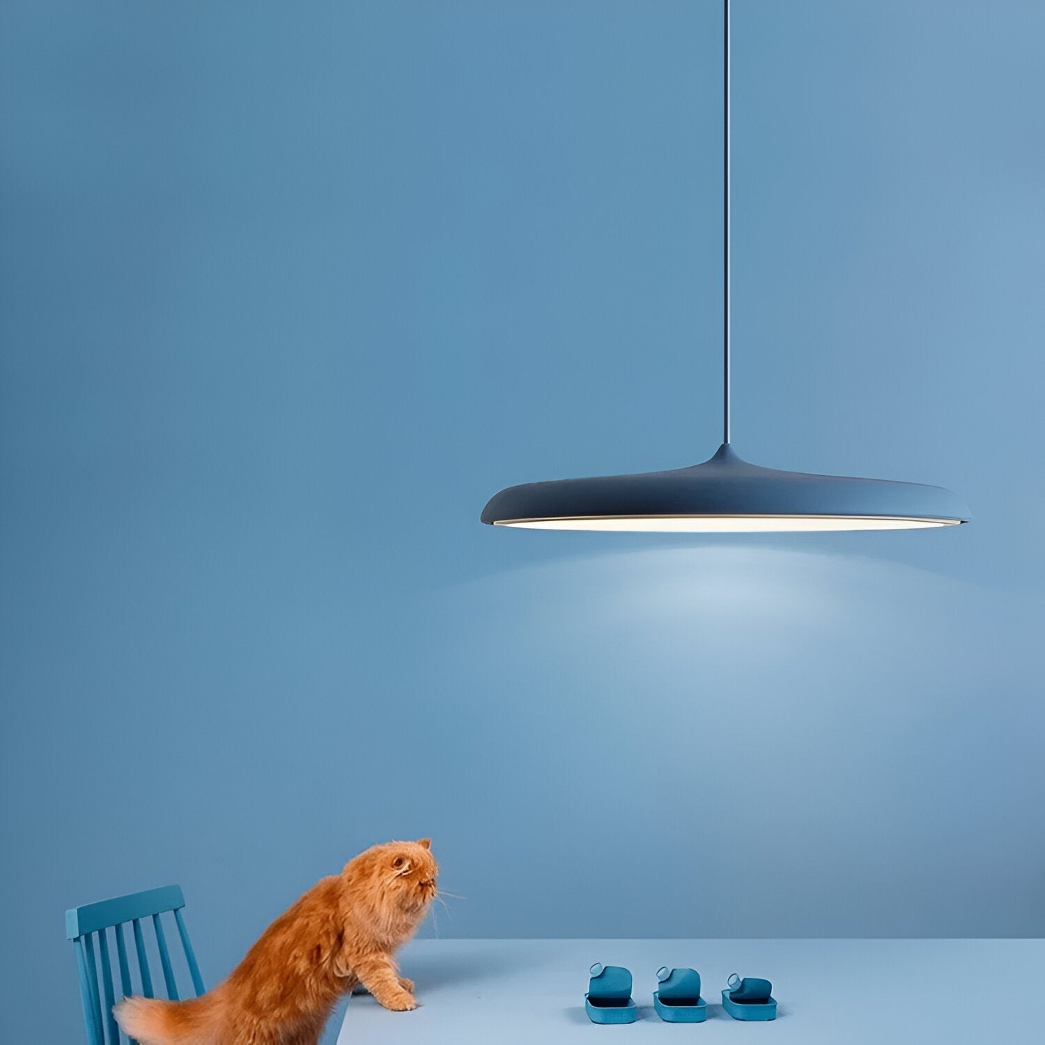 Hängeleuchte Teller Design LED 4000K Nordic Modern Ø25 Ø40 | Restfield