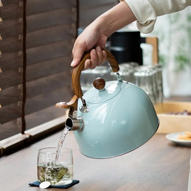 Roestvrijstalen Fluitketel 2,5L & 3L Zwart Wit Inductie Gas Elektrisch Warmhoudgreep Theeketel Waterketel | Sansoti