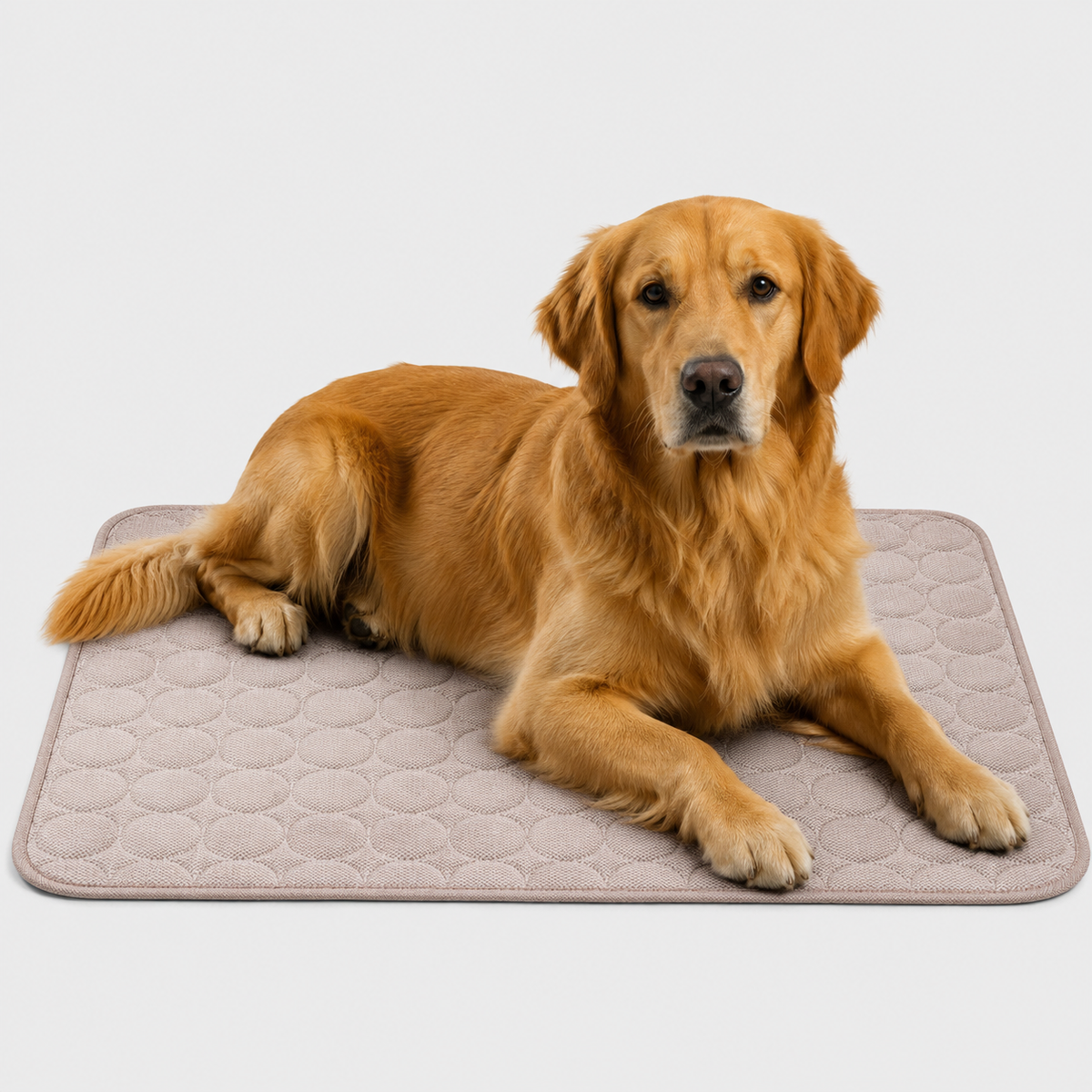 Washable Cooling Mat for Dogs and Cats 6 Sizes Breathable Cooling Cushion Pet Travel Mat Summer Cooling | Sansoti