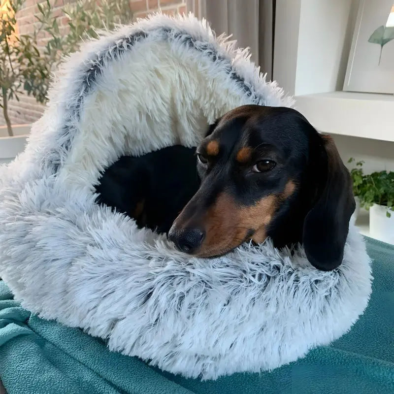 Hundebett Plüsch Weich Rutschfest Katze Hund Schlafkorb Warm Katzenbett Luxus | Restfield
