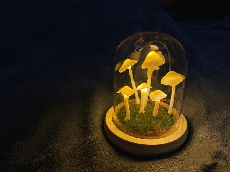 DIY-Pilzlampe aus Glas und Holz – Magische stimmungsvolle Tischleuchte in Warmweiß, dekorativ für Wohn- und Schlafzimmer | Sansoti